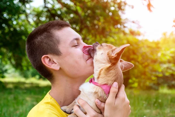 Pojęcie Przyjaźni Miłości Człowieka Psa Chihuahua Pies Całuje Liże Swojego — Zdjęcie stockowe