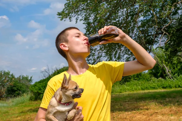 stock image Young caucasian man holding Chihuahua dog and drinking cola from bottle outdoors. Walking in park in summer, low angle view