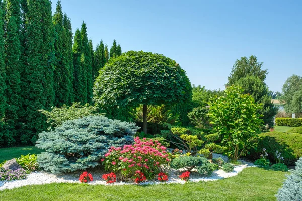 Beau Jardin Avec Des Arbres Des Buissons Des Pierres Joliment — Photo