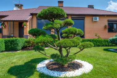 Avrupai villanın önünde güzel budanmış bonsai, çalılar ve ağaçlarla dolu bir bahçe. Peyzaj tasarımı. Yüksek kalite fotoğraf