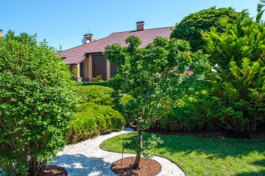 Avrupa tarzı villanın önünde güzel budanmış çalıları ve ağaçları olan bahçe. Peyzaj tasarımı. Yüksek kalite fotoğraf