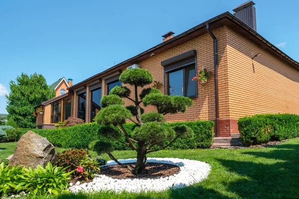 Jardin d'arrière-cour avec bonsaï bien garni, buissons et buissons en face de la villa — Photo