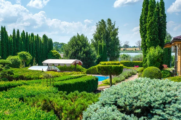 Jardín con arbustos bien recortados y piscina en el patio trasero —  Fotos de Stock