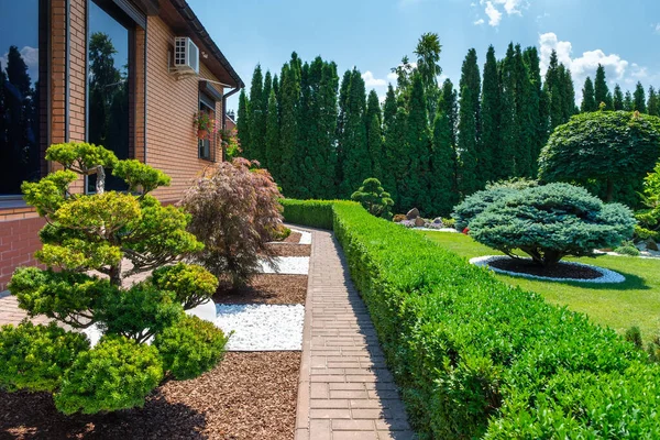 Jardín del patio trasero con bonsáis bien recortados, arbustos y arbustos en el lado de la villa —  Fotos de Stock