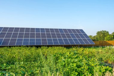 Arka bahçedeki bir sebze bahçesinde mavi gökyüzünün altında güneş panelleri. Güneş enerjisi santrali, alternatif bir ekolojik elektrik kaynağı, kopyalama alanı