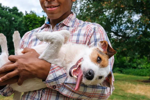 Homem segurando um engraçado Jack Russell terrier em seus braços no verão ao ar livre — Fotografia de Stock