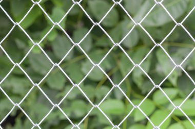 görüntü arka plan çelik kafes yeşil yapraklar