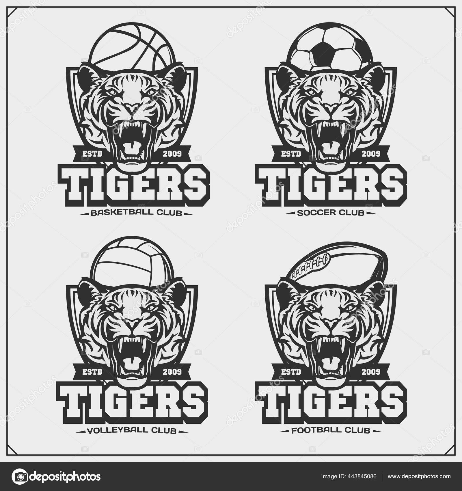 Volleyball Basketball Soccer Football Logos Labels Sport Club Emblems Tiger Stock Vector Image