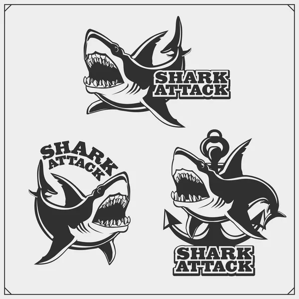 Emblema Com Tubarão Para Uma Equipa Desportiva Design Impressão Para —  Vetores de Stock