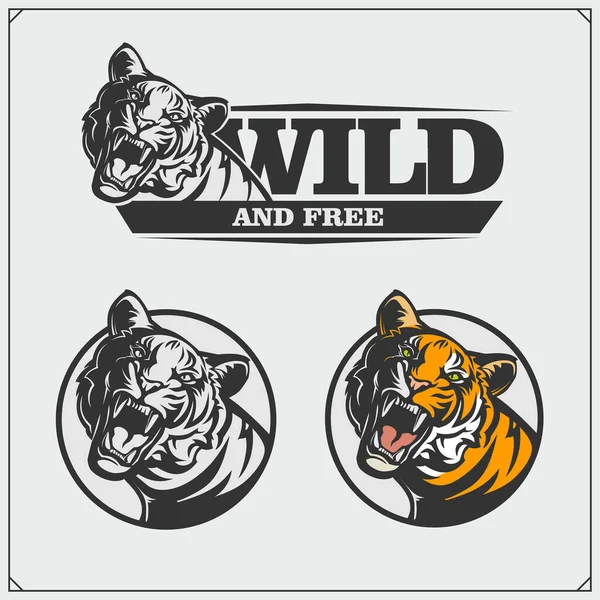 Conjunto Cabezas Tigre Enojado Diseño Impresión Para Camiseta Tatuaje Diseño — Vector de stock