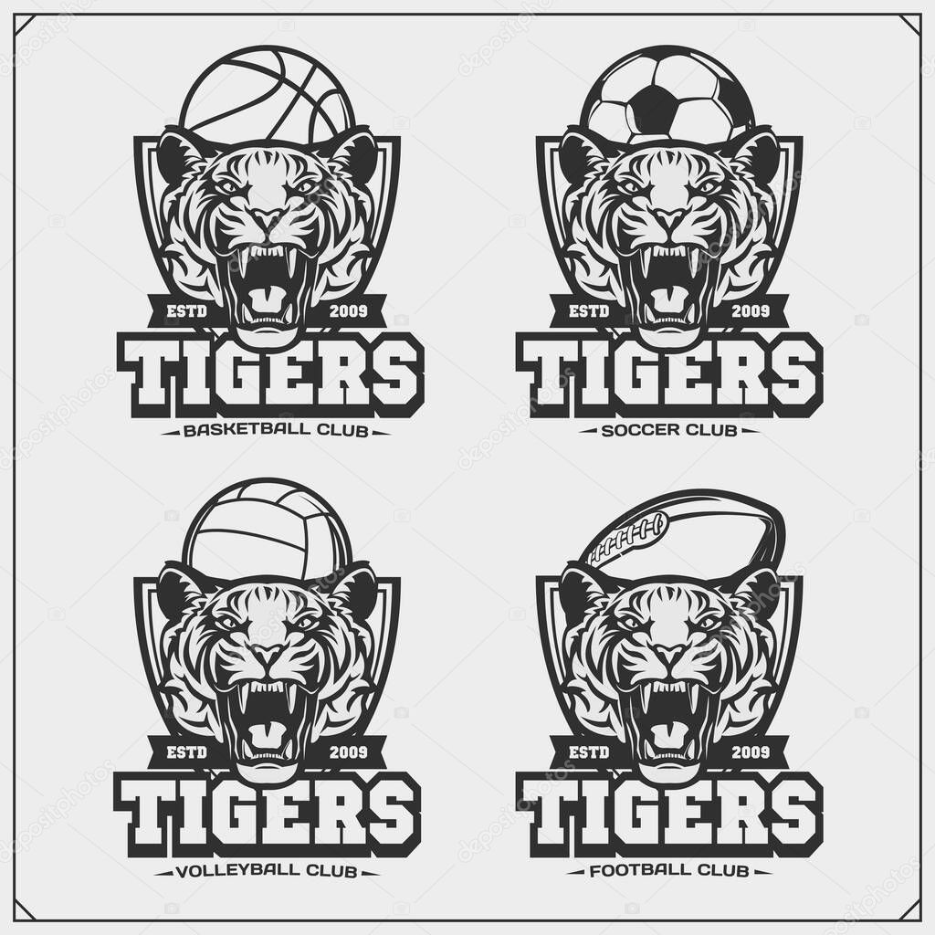 Volleyball, basketball, soccer and football logos and labels. Sport club emblems with tiger. Print design for t-shirt.