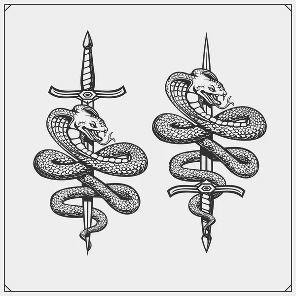 Emblema Con Espada Cobra Diseño Impresión Para Camisetas — Vector de stock