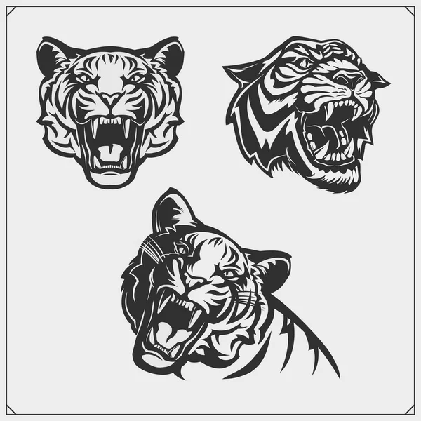 Conjunto Cabezas Tigre Enojado Diseño Impresión Para Camiseta Tatuaje Diseño — Vector de stock