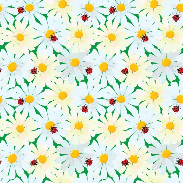 Seamless pattern with chamomile flowers and ladybirds, summer ba — Stok Vektör