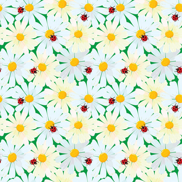 Ромашковые цветы и божьи коровки, летняя ба
