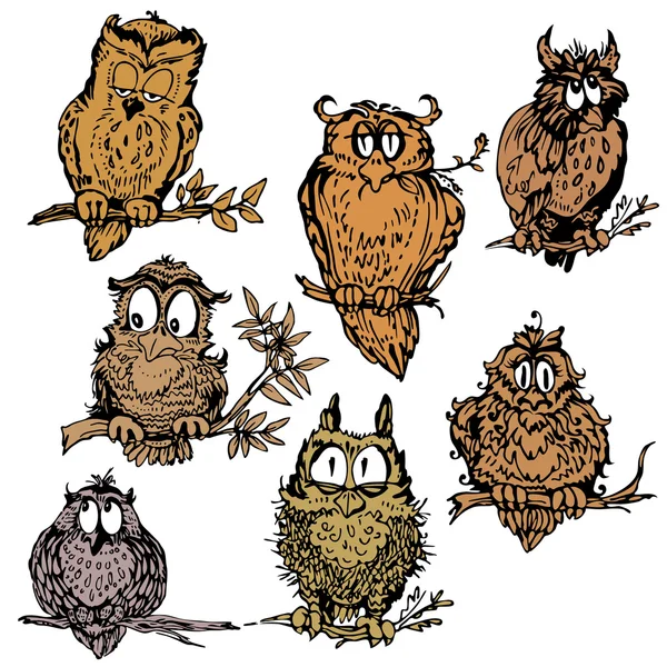 Set of cute owls on branch. Hand drawn picture isolated on white — Stok Vektör