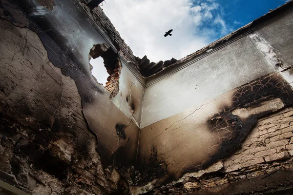 Разрушенное Здание Черная Ворона Небе Разбитый Дом После Обстрела Война — стоковое фото