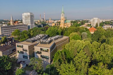Polonya 'nın Lodz kenti - Archthedral Bazilikası.