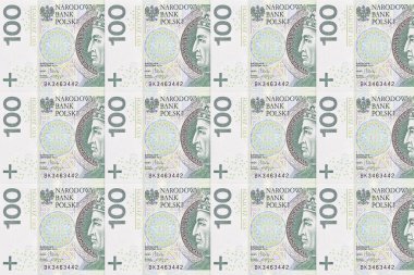 Polonya parası. Geçerli zloti banknotları.