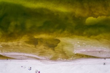 Baltık Denizi - güzel Polonya kıyıları.