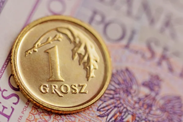 Polish zloty — Stock Photo, Image