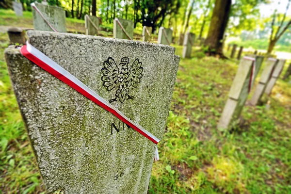 Польское кладбище героев — стоковое фото