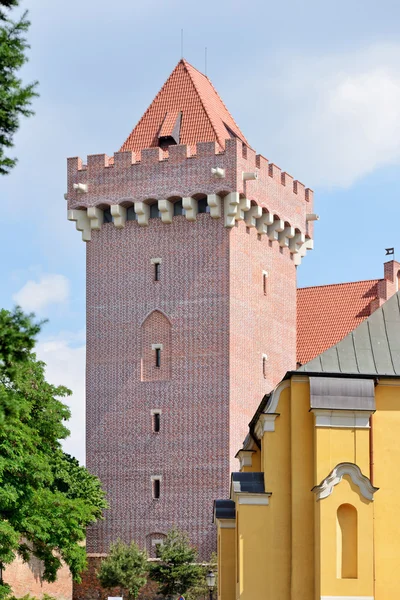 Koninklijk Kasteel, Poznan — Stockfoto