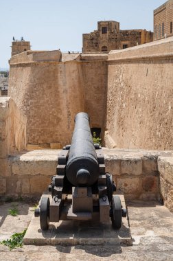 Cittadella, Malta 'nın Gozo adasında Victoria' nın merkezinde bulunan tarihi bir kaledir.