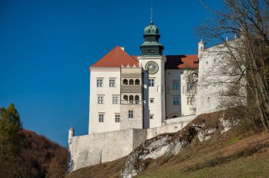Pieskowa Skala 'daki kale. Polonya.