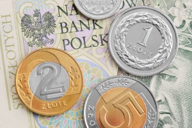 Polonya Zlotisi Pln