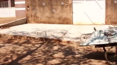 Planaltina, Goias, Brezilya-17 Ekim 2020: Yerel bir çöplükte işe yarar hurda toplayarak geçinen bir çift. 