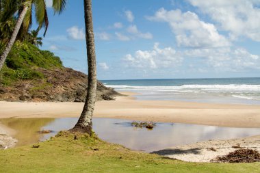 Ribeira Sahili, Itacare, Brezilya 'da kıyı şeridi boyunca bulunabilecek pek çok güzel plajdan biridir. 