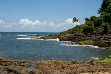 Itacare, Brezilya 'da okyanusa bakan Concha plajı manzarası