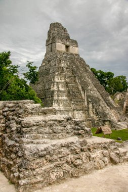 Antik Maya şehri Tikal 'daki piramitler, günümüz Guatemala' sında