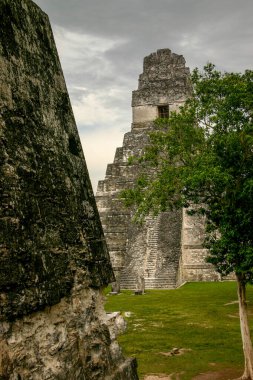 Antik Maya şehri Tikal 'daki piramitler, günümüz Guatemala' sında