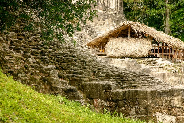 Piramidy Starożytnym Mieście Majów Tikal Współczesnej Gwatemali — Zdjęcie stockowe