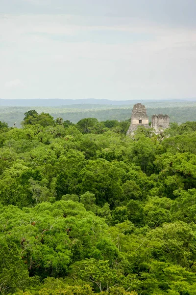 Pyramids Ancient Maya City Tikal Modern Day Guatemala — Stock Photo, Image
