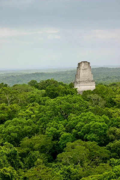 Pyramider Den Gamle Maya Tikal Det Moderne Guatemala - Stock-foto