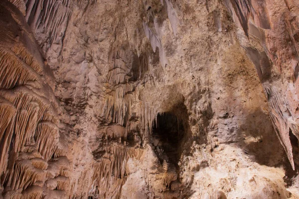 Carlsbad Caverns New Mexico Main Chamber Cavern Known Big Room — 스톡 사진