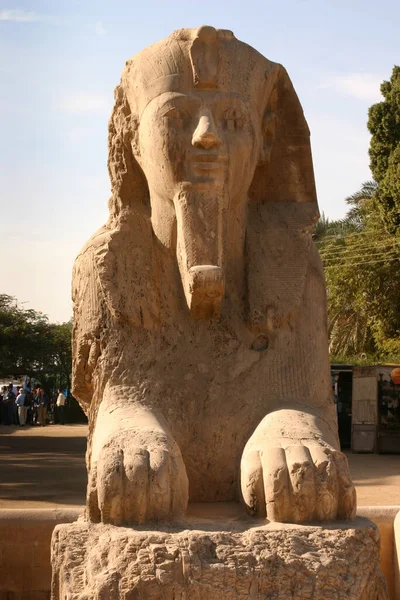 Sphinx Memphis Open Air Museum Cairo Egypt — 스톡 사진