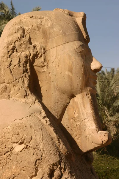 Close Vista Lateral Esfinge Memphis Museu Livre Perto Cairo Egito — Fotografia de Stock