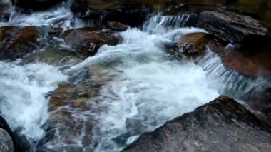 Brezilya 'nın Pirenopolis kentinin dışındaki Şelale Eski Değirmeni veya Chachoeira da Usina Velha' dan akan sular