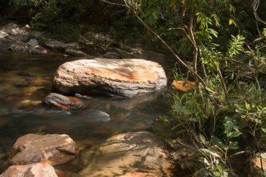 Brezilya 'nın Pirenopolis şehrinin dışındaki Şelaleleri besleyen Rio das Almas Nehri.