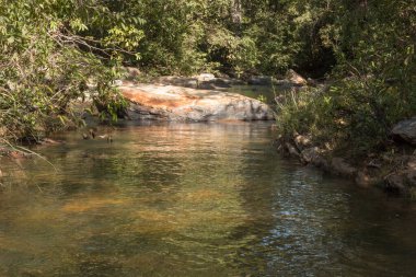 Brezilya 'nın Pirenopolis şehrinin dışındaki Şelaleleri besleyen Rio das Almas Nehri.