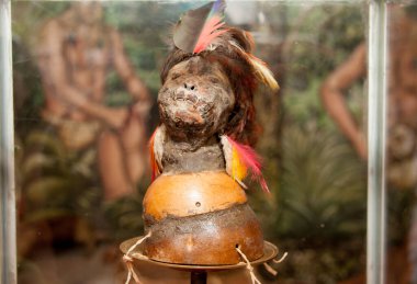 Quito Ekvator, 20 Nisan 2012: Quito 'nun hemen dışındaki Dünya Müzesi' nin (Mitad del Mundo Müzesi) ortasında Küçültülmüş Bir Kafa sergileniyor