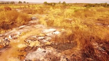 Brezilya 'nın kuzeyindeki Granja do Torto' da yasadışı çöplük.