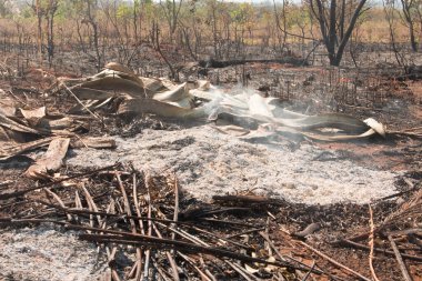 Brezilya 'nın Brasilia kentindeki Nororeste 711. Bloğunda (Kuzeybatı) bir yangının kalıntıları.