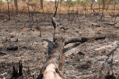 Brezilya 'nın Brasilia kentindeki Nororeste 711. Bloğunda (Kuzeybatı) bir yangının kalıntıları.