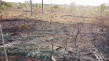 Brezilya 'nın Brasilia kentindeki Nororeste (Kuzeybatı) 711. Bloğunda Yanmış Yangın Kalıntıları