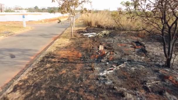 Restos Carbonizados Incendio Forestal Bloque 711 Nororeste Noroeste Brasilia Brasil — Vídeo de stock